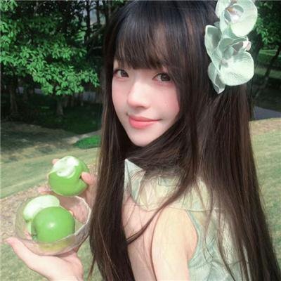 大象菩提