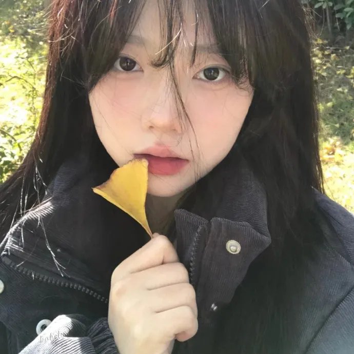 不只但总是